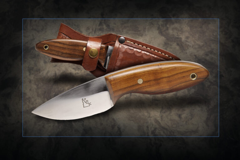 Skinner by Paul Davis